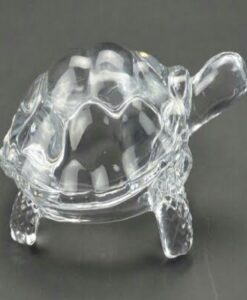 Crystal Turtle - Buy Crystal Tortoise Online - Delhi India
