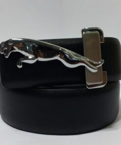 Jaguar Belts Online