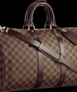 Louis Vuitton Bags